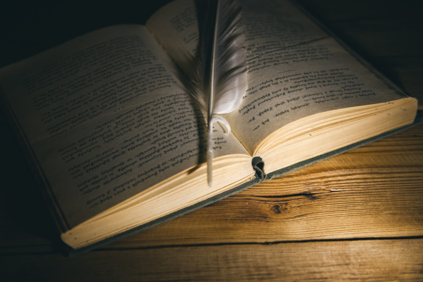 Image of a book open with a quill feather on it